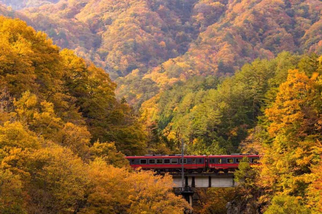 treno del foliage in autunno