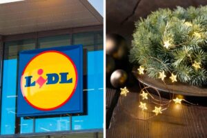 decorazioni natalizie Lidl prossima settimana