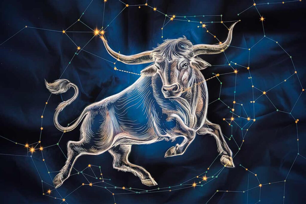 Toro qualità segno zodiaco