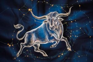 Toro qualità segno zodiaco