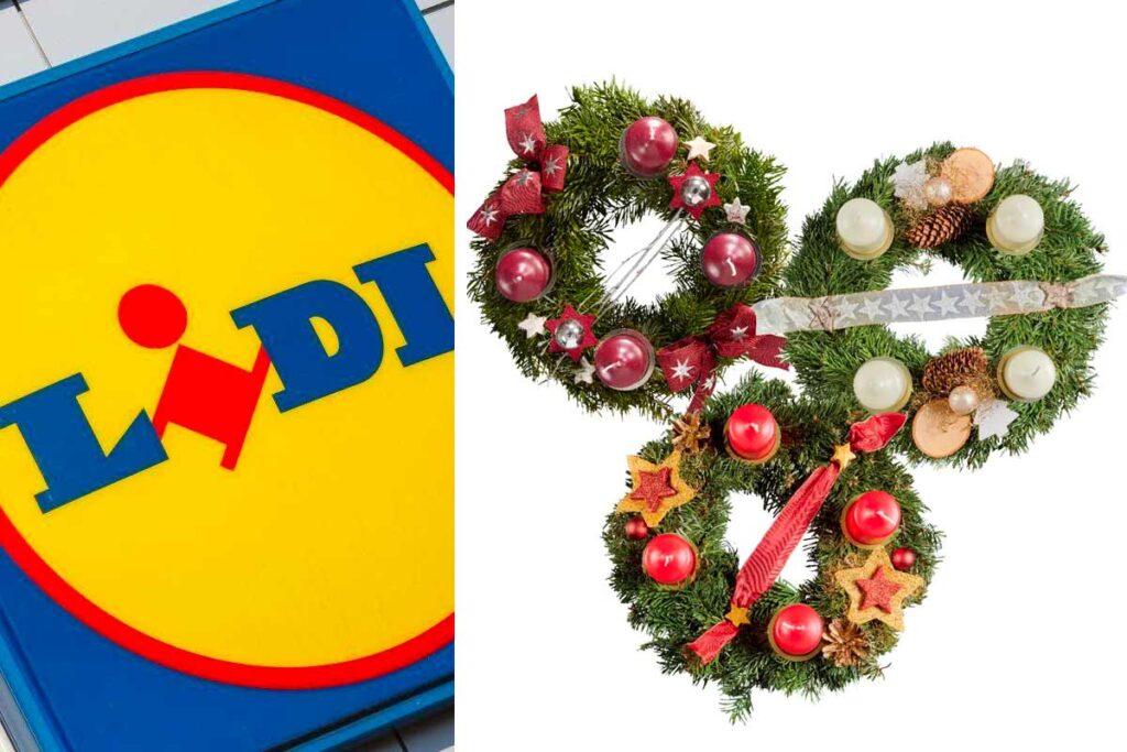 Weekend green da Lidl, piante e decorazioni natalizie