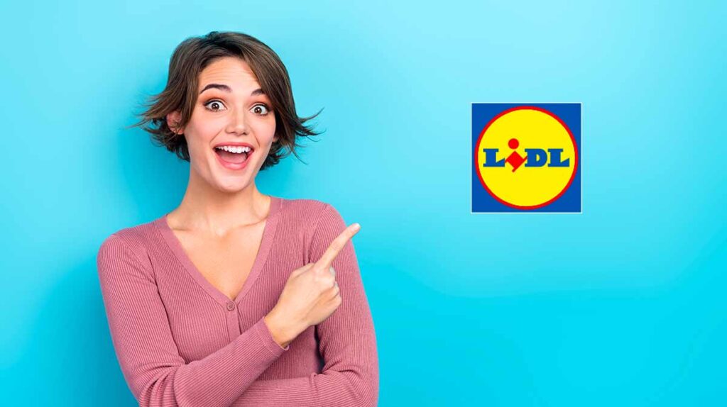 stender regolabile Lidl